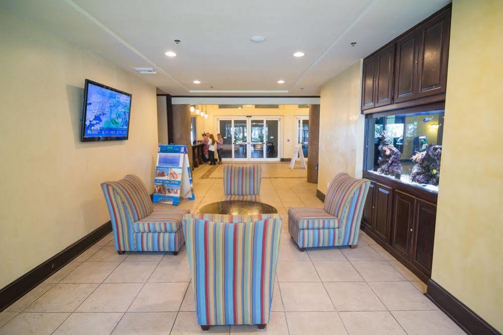 Shores Of Panama By Book That Condo Panama City Beach Εξωτερικό φωτογραφία